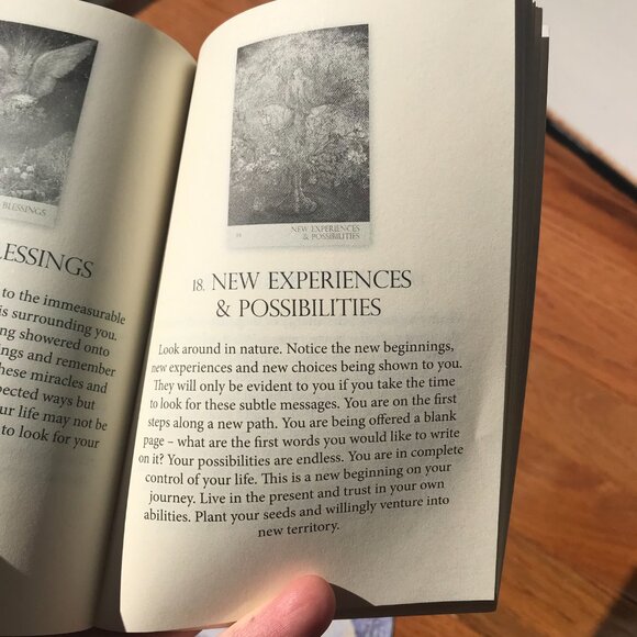 Nature's Whisper's oracle card deck - Picture 6 of 7